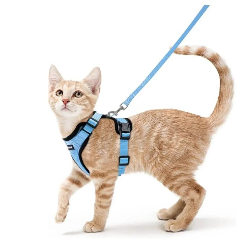 Cat Harness: Brand-new Light Blue Mesh Comfort Cat Harness, XS